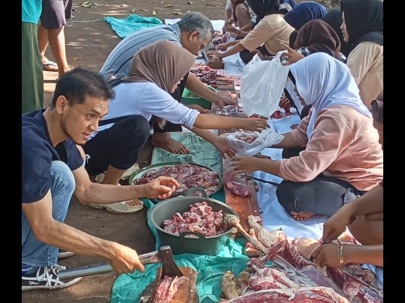 Foto Kegiatan 234