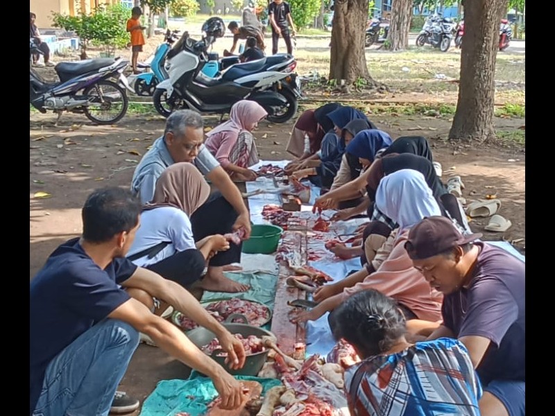 Penyembelian Hewan Kurban IDul Adha 1447 H